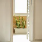 Appartement Daira 103