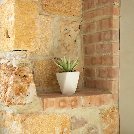 Appartement Daira 103